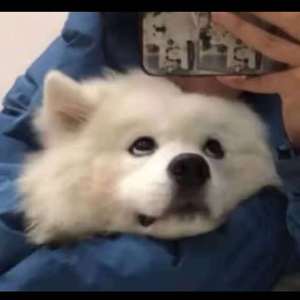 一级黄色录像毛片
