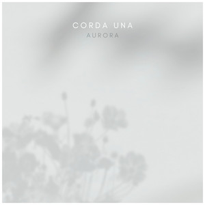 一级黄色录像毛片
